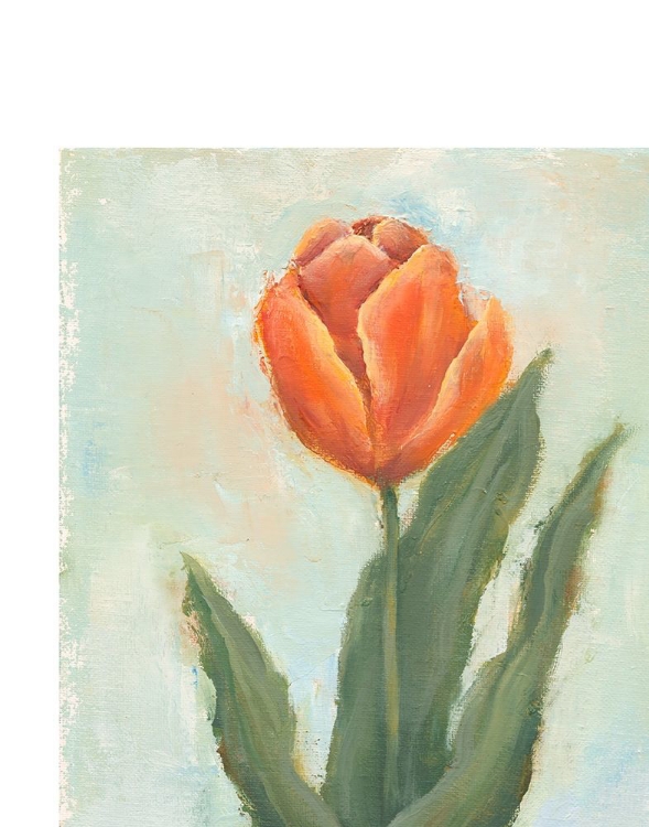 Picture of PAINTED TULIPS IV