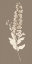 Picture of TAUPE NATURE STUDY III