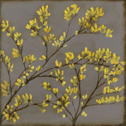 Picture of FORSYTHIA I