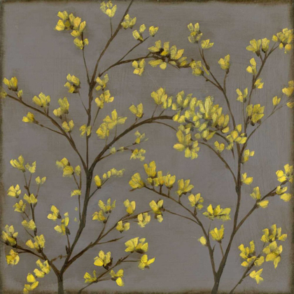 Picture of FORSYTHIA II