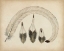 Picture of VINTAGE FEATHERS IV