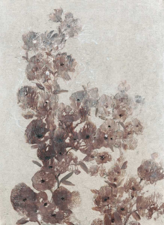 Picture of SEPIA FLOWER STUDY I