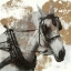 Picture of DRIVING HORSES II