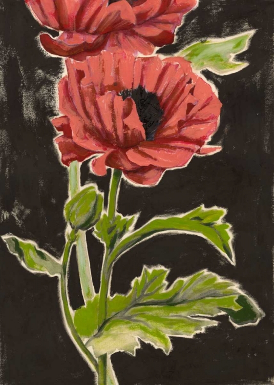 Picture of HALOED POPPIES II