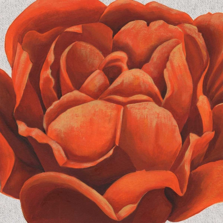 Picture of FIERY FLORAL II