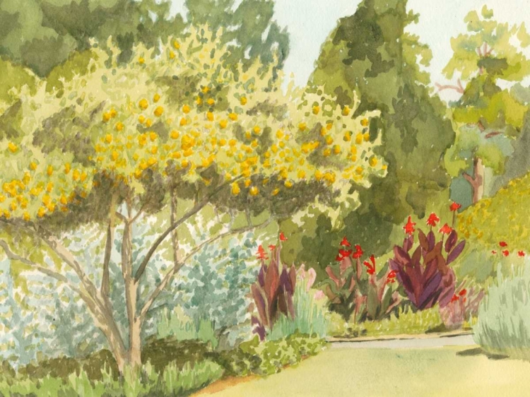 Picture of PLEIN AIR GARDEN VI