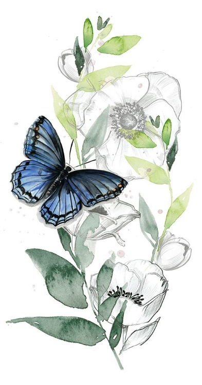 Picture of WATERCOLOR BUTTERFLY COLLECTION B