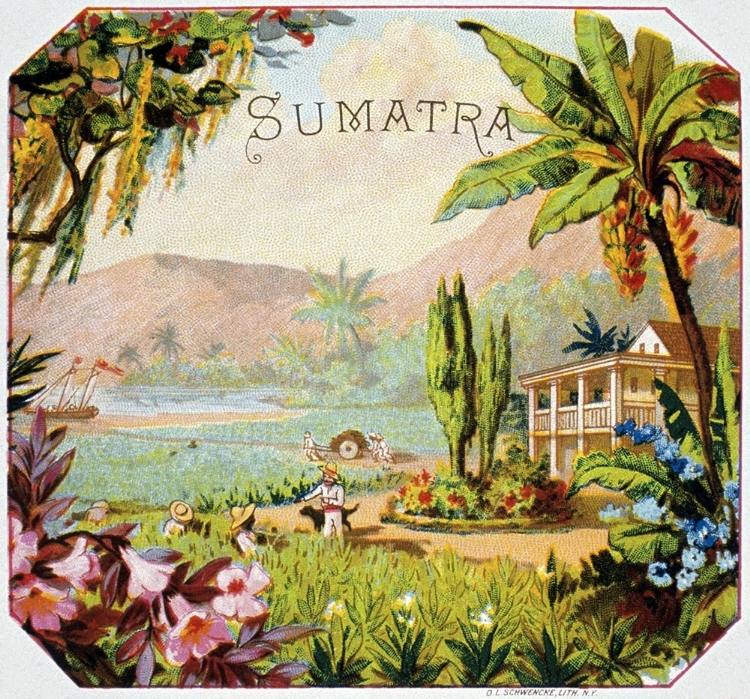 Picture of SUMATRA