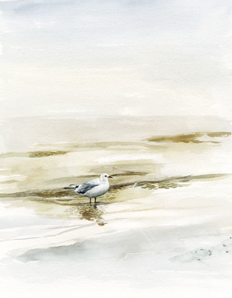 Picture of COASTAL GULL I