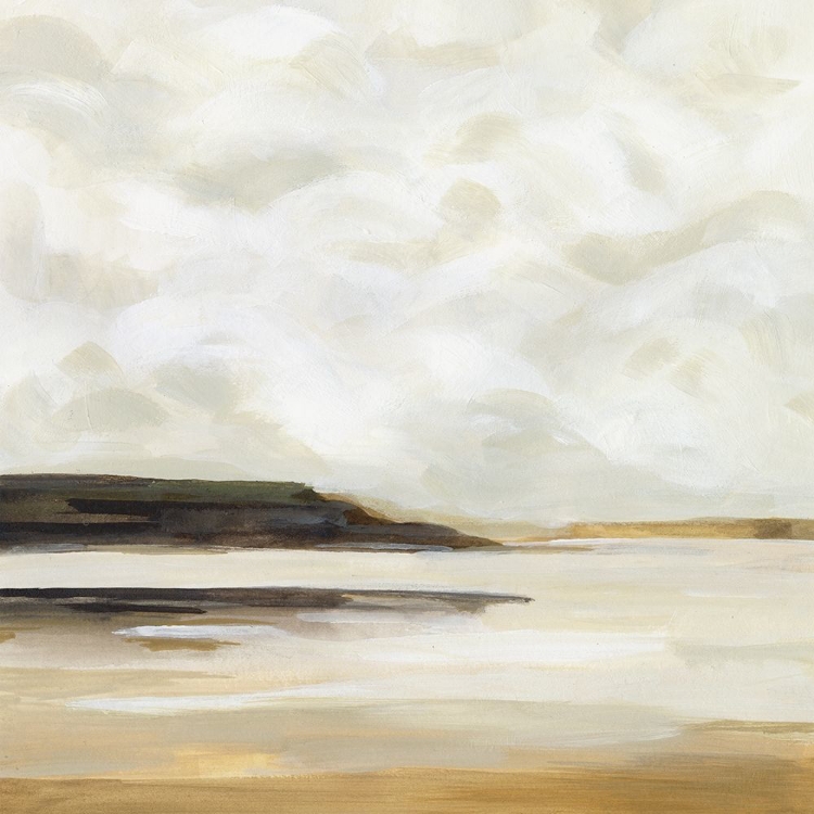 Picture of CLOUDY COAST I