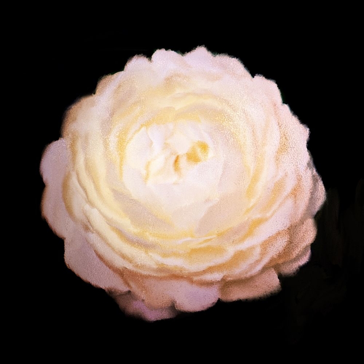 Picture of ROSE GOLD