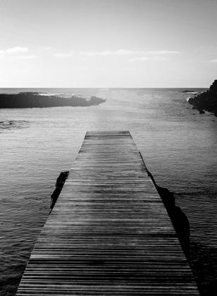 Picture of TOWARDS THE WATER BW