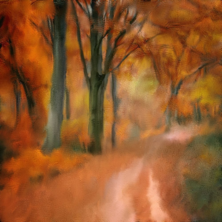 Picture of AUTUMN ROAD