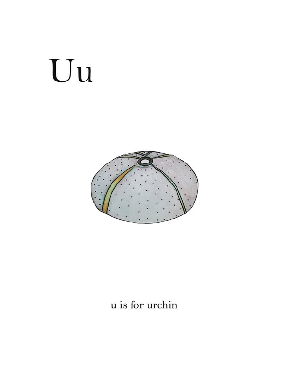 Picture of U IS FOR URCHIN