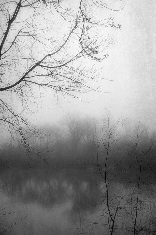Picture of MISTY POND 2 BW