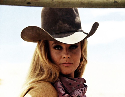 Picture of ANN-MARGRET - THE TRAIN ROBBERS
