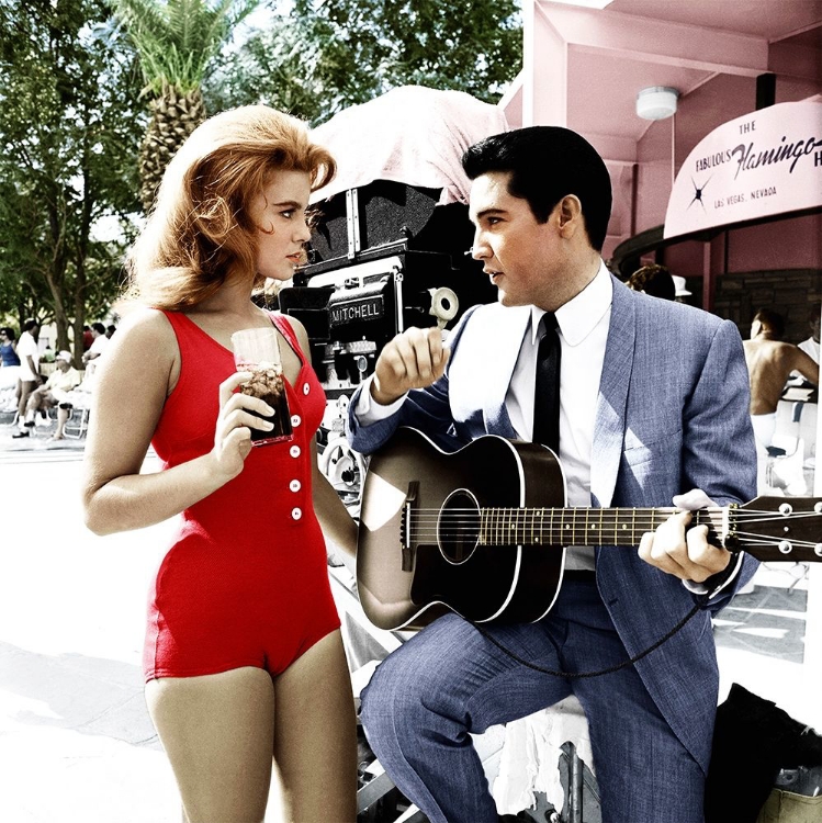 Picture of ANN-MARGRET - VIVA LAS VEGAS