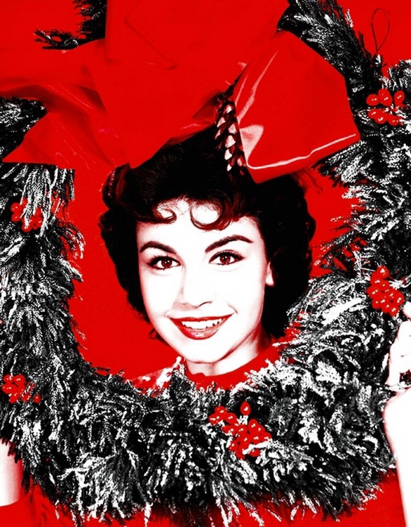 Picture of ANNETTE  FUNICELLO