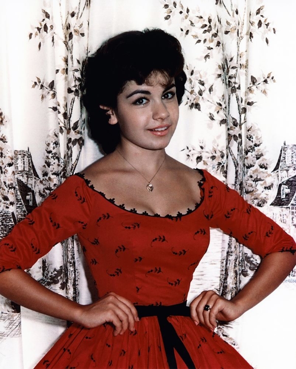 Picture of ANNETTE  FUNICELLO