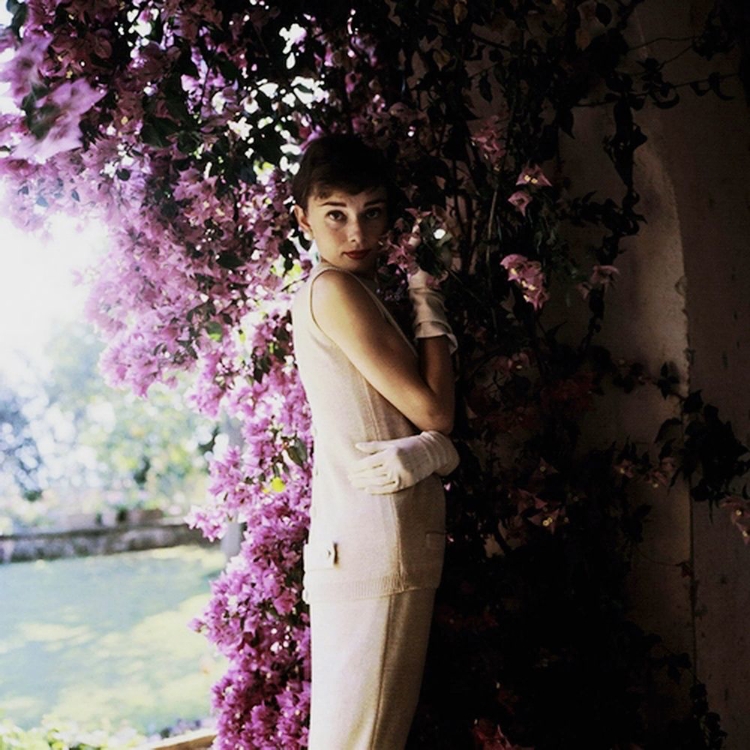 Picture of AUDREY HEPBURN