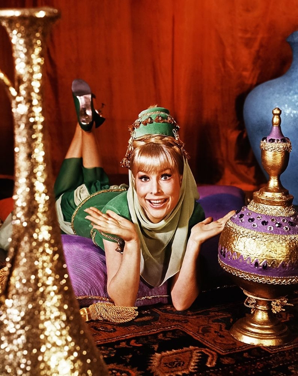 Picture of BARBARA EDEN