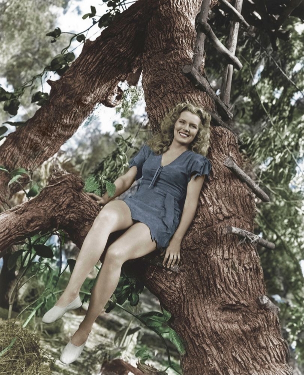 Picture of BRENDA JOYCE - TARZAN AND THE AMAZONS