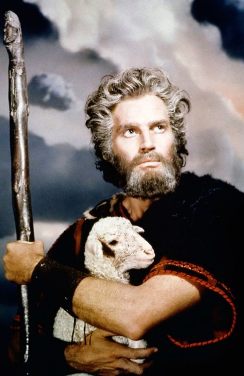 Picture of CHARLTON HESTON