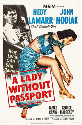 Picture of A LADY WITHOUT PASSPORT