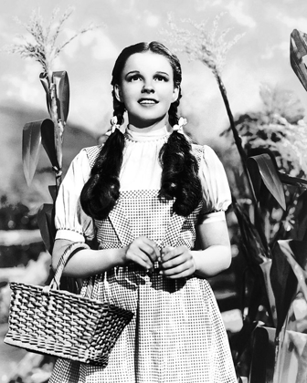 Picture of JUDY GARLAND - WIZARD OF OZ