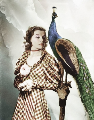 Picture of KATHERINE HEPBURN WITH PEACOCK