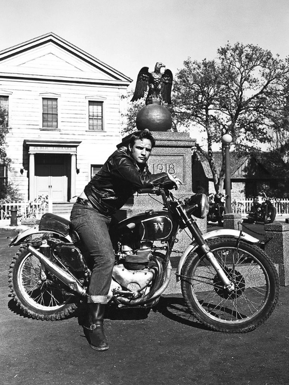 Picture of MARLON BRANDO - THE WILD ONE