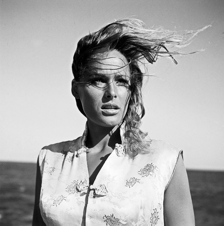 Picture of URSULA ANDRESS - DR. NO