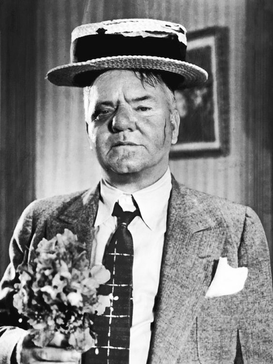 Picture of W.C. FIELDS