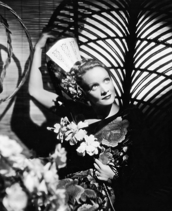 Picture of MARLENE DIETRICH