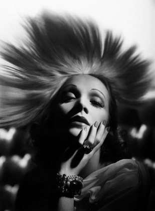 Picture of MARLENE DIETRICH