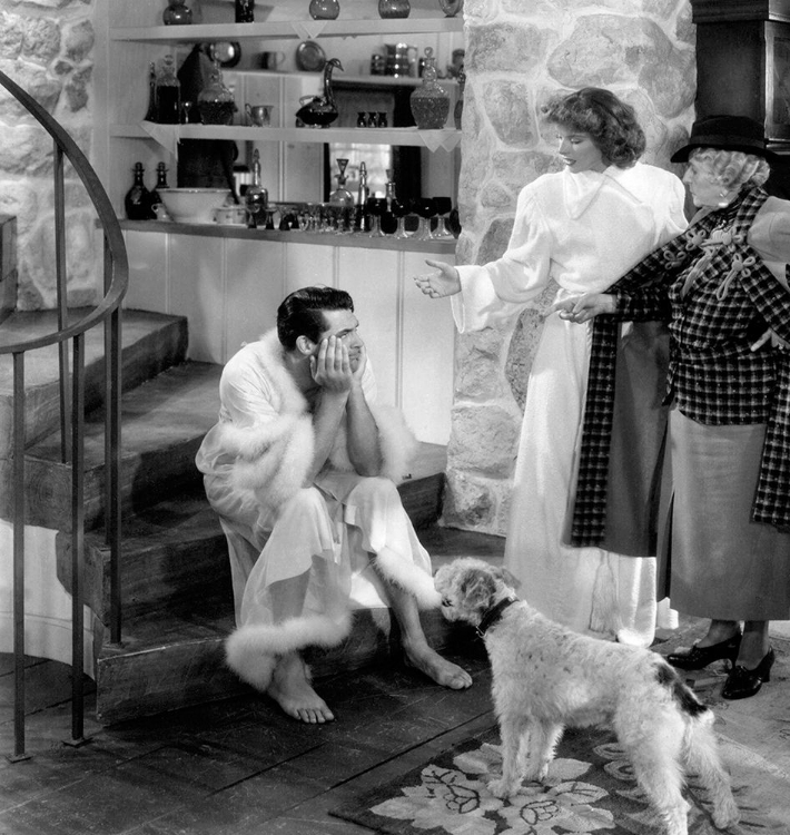 Picture of CARY GRANT - BRINGING UP BABY