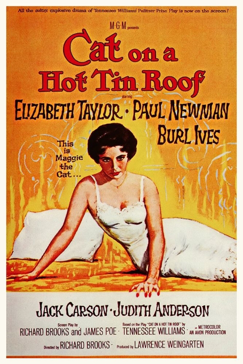 Picture of ELIZABETH TAYLOR - CAT ON A HOT TIN ROOF