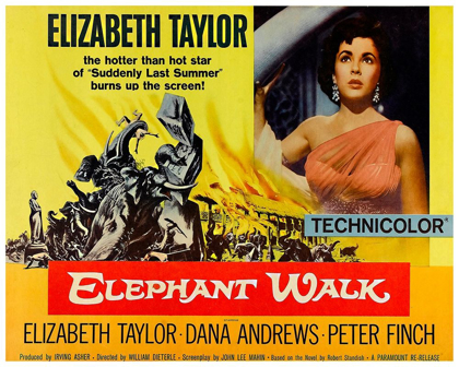 Picture of ELEPHANT WALK - ELIZABETH TAYLOR