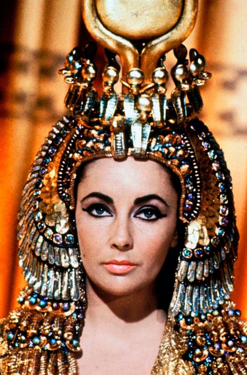 Picture of ELIZABETH TAYLOR - CLEOPATRA