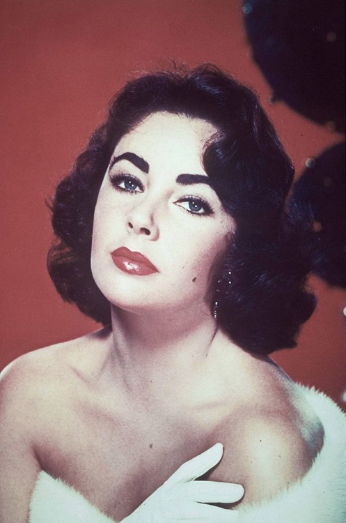 Picture of ELIZABETH TAYLOR