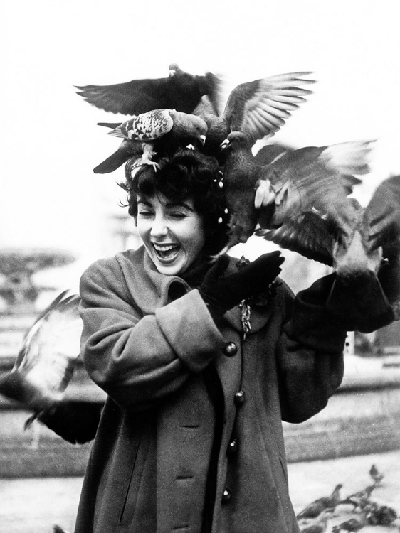 Picture of ELIZABETH TAYLOR WITH PIGEONS