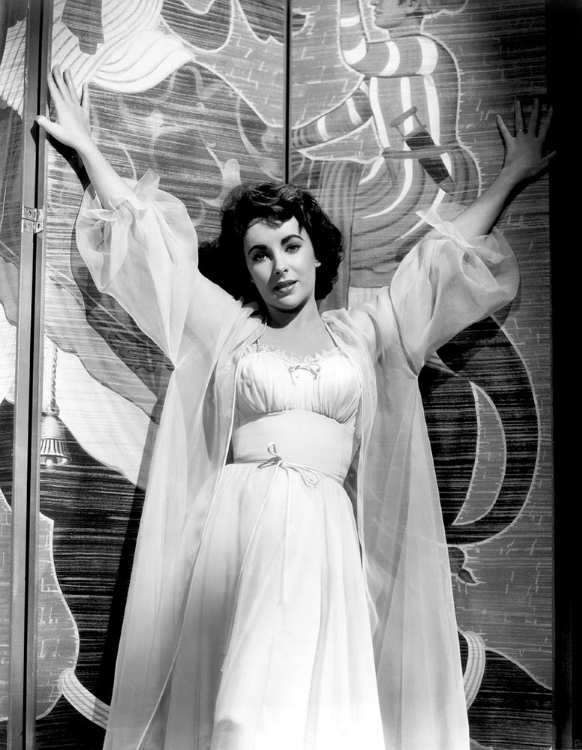 Picture of ELIZABETH TAYLOR