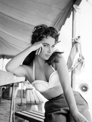 Picture of ELIZABETH TAYLOR