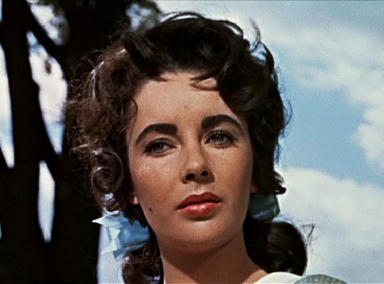 Picture of ELIZABETH TAYLOR