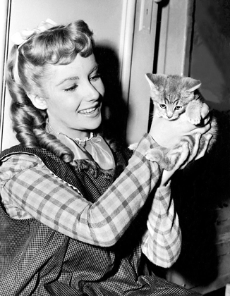 Picture of ELIZABETH TAYLOR WITH KITTEN