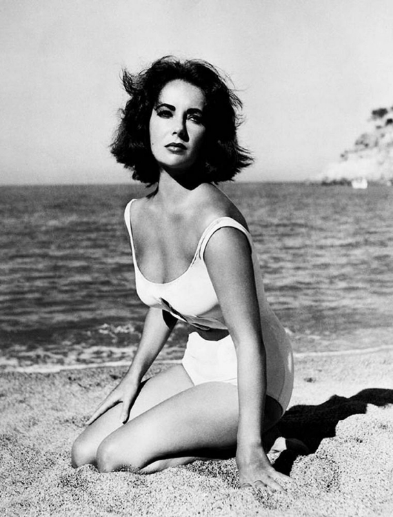 Picture of ELIZABETH TAYLOR