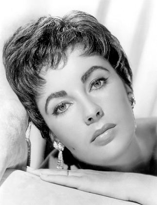 Picture of ELIZABETH TAYLOR