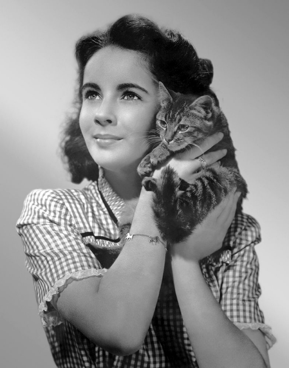 Picture of ELIZABETH TAYLOR WITH KITTEN