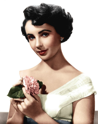 Picture of ELIZABETH TAYLOR