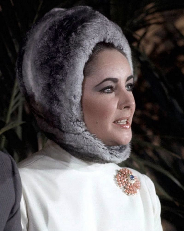 Picture of ELIZABETH TAYLOR